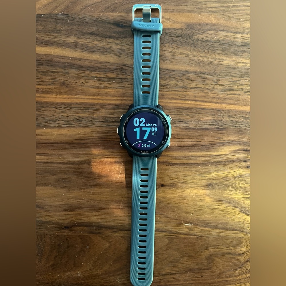 Garmin Forerunner 245